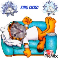 King Cicko animovaný GIF