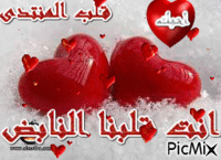 الى قلب المنتدى - Zdarma animovaný GIF