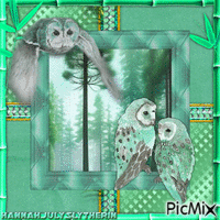 ♦♦♦Owls in Mint Green Tones♦♦♦ animeret GIF