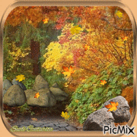 Folhas e pedras GIF animé