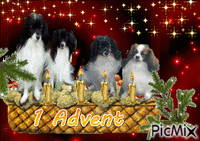 Dogs advent - GIF เคลื่อนไหวฟรี