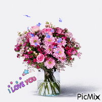 flowers 动画 GIF