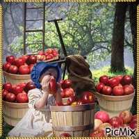 Little Apple Picker