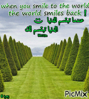 when you smile to the world the wordsmiles back - GIF animado grátis