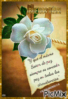 Gardenia GIF animé