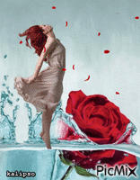 Rose petals GIF animé
