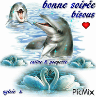 les dauphins vous souhaite une bonne soirée bisous - GIF animado grátis