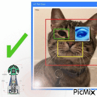 intersect between cat human and google - GIF animado grátis