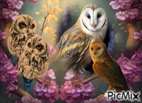 owl fantasy GIF animata