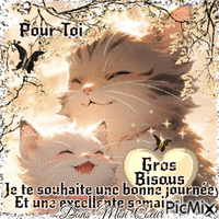 ❤️💕Excellente Semaine Bisous❤️💕 Animated GIF