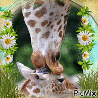 Maternidad en animales - GIF animate gratis