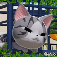 Cartoon cats-contest - GIF animado grátis