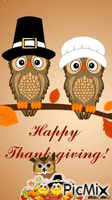 Thanksgiving owl GIF animado