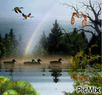 nature paissible - Ilmainen animoitu GIF