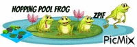 Hopping Pool Frog - GIF animé gratuit