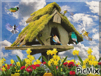 oiseaux et cabane animovaný GIF