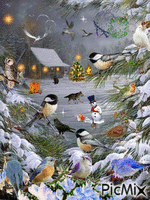 Birds - Ingyenes animált GIF