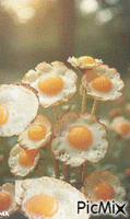 Ramillete de huevos GIF animé