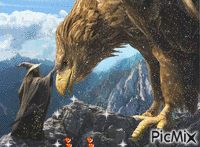 vultur - Darmowy animowany GIF