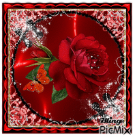Red rose on red. анимиран GIF