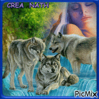 crea nath   mon adoration pour le loup animovaný GIF