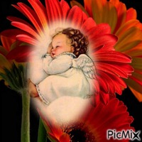 ange bébé - Gratis animerad GIF