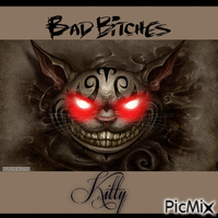 Bad Kitty! - GIF animé gratuit