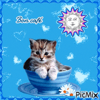Bon café les chatons анимированный гифка