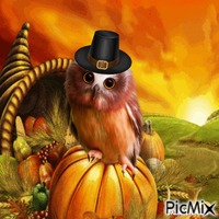 Thanksgiving owl - GIF animé gratuit