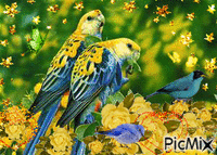 BLUE AND YELLOW BIRDS, YELLOW SPARKLES, YELLOW ROSES, AND GOLD SPARKLES. - Nemokamas animacinis gif