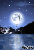 Moonlight Night анимированный гифка