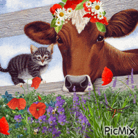 Cow... animovaný GIF