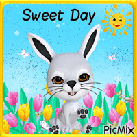 Sweet Day