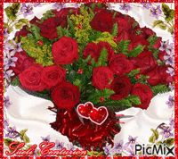 Rosas Vermelhas - GIF animasi gratis