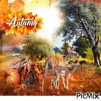 Autumn GIF animé