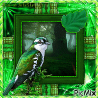 {===}Green Bird in the Green Jungle{===} - Безплатен анимиран GIF