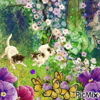 Fleurs et deux chats - Zdarma animovaný GIF