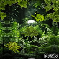 Meine Lieblingspflanze - Darmowy animowany GIF