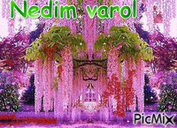 NEDİM VAROL - Бесплатный анимированный гифка