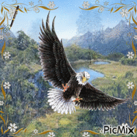 aigle majestueux - Nemokamas animacinis gif