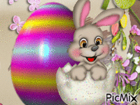 bunny Animated GIF