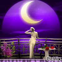 Purple Night - GIF animado grátis