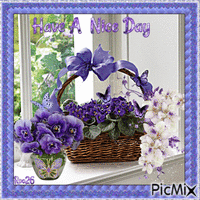 Have A Nice Day~ Violets contest - Animovaný GIF zadarmo