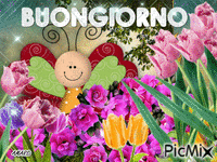 BUONGIORNO - Gratis animeret GIF