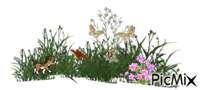 papillons - Kostenlose animierte GIFs