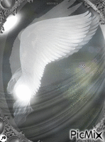 Un ángel, detrás de un ala, detrás del espejo geanimeerde GIF