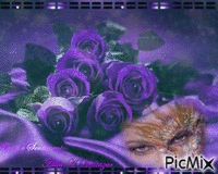 Rosas Roxas GIF animado
