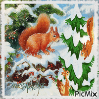 Eichhörnchen im Winter - Безплатен анимиран GIF