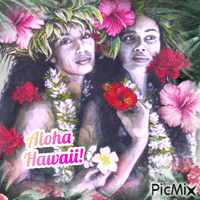 Les hawaïennes animovaný GIF