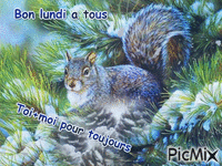 écureuil d hiver - Безплатен анимиран GIF